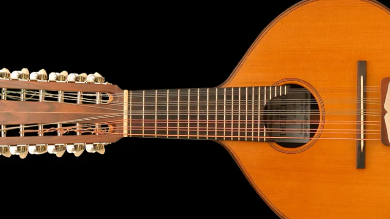 La música de cuerda pulsada llena el ADDA con el sonido de Alicante
